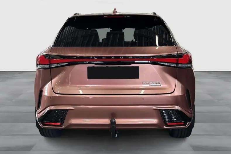 Lexus RX 500 din 2023 cu 48.000 km - oferta LEX140891 - foto 5