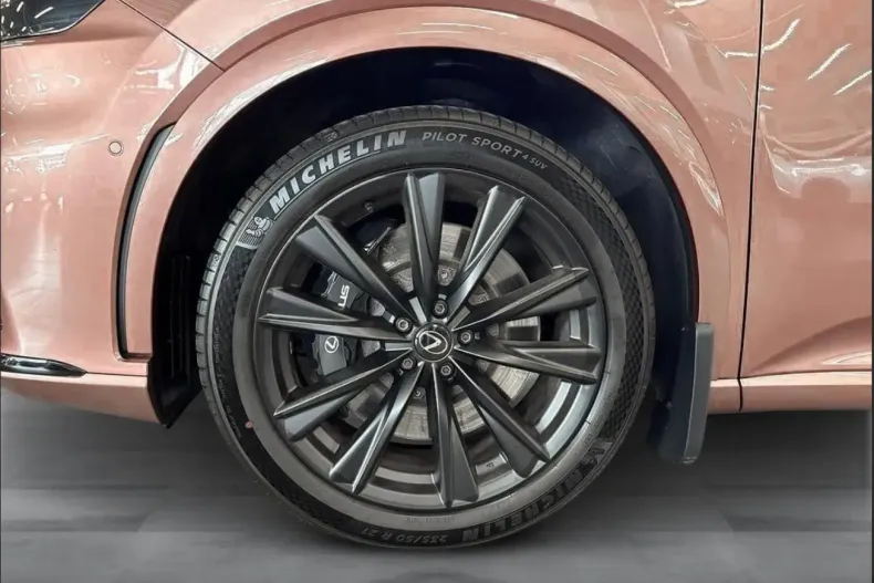 Lexus RX 500 din 2023 cu 48.000 km - oferta LEX140891 - foto 11