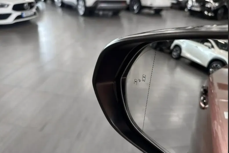 Lexus RX 500 din 2023 cu 48.000 km - oferta LEX140891 - foto 14