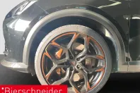 Cupra Formentor din 2023 cu 18.790 km - oferta CUP141067 - foto 20