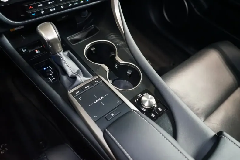 Lexus RX 300 din 2022 cu 70.583 km - oferta LEX141729 - foto 17