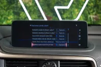 Lexus RX 300 din 2022 cu 70.583 km - oferta LEX141729 - foto 29