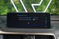 Lexus RX 300 din 2022 cu 70.583 km - oferta LEX141729 - foto 32