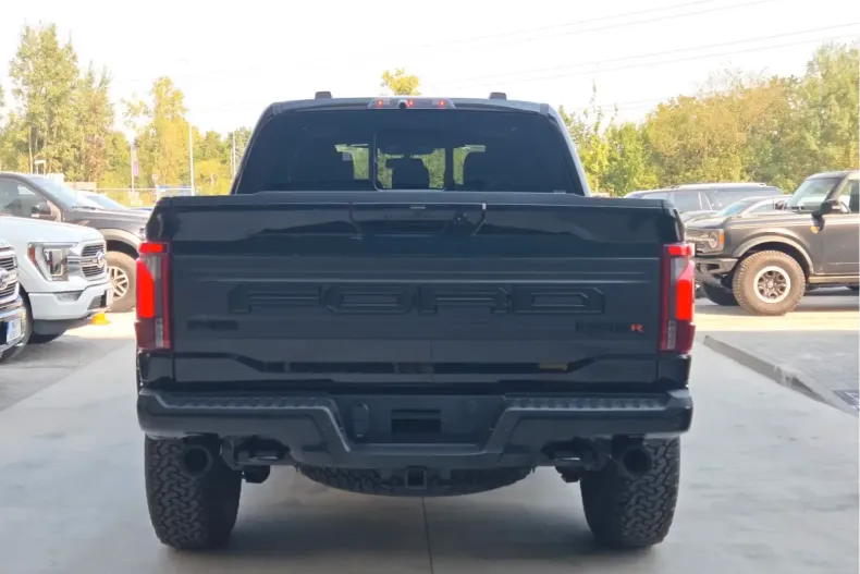 Ford F 150 din 2025 cu 17 km - oferta FOR141989 - foto 3