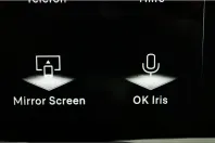 DS Automobiles DS 7 Crossback din 2024 cu 39.100 km - oferta DSA142130 - foto 25