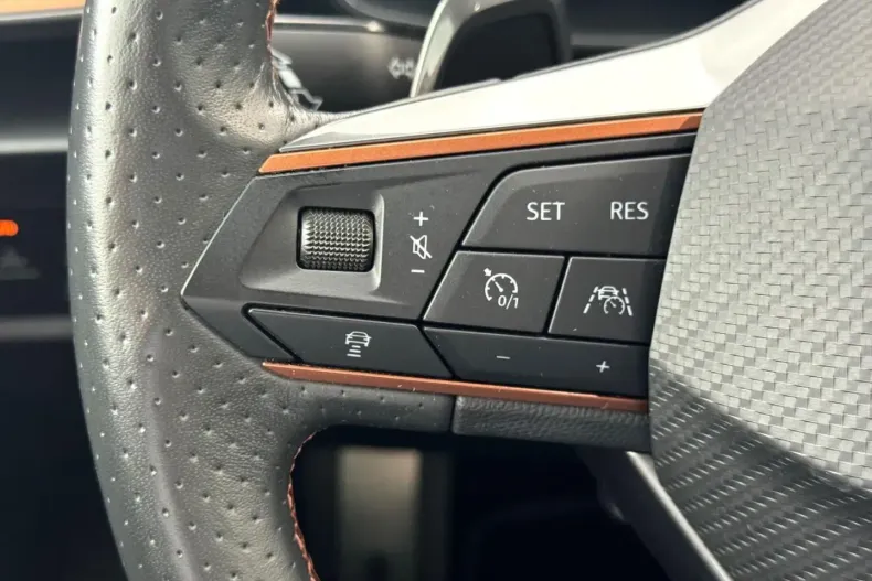 Cupra Formentor din 2022 cu 73.111 km - oferta CUP142965 - foto 20