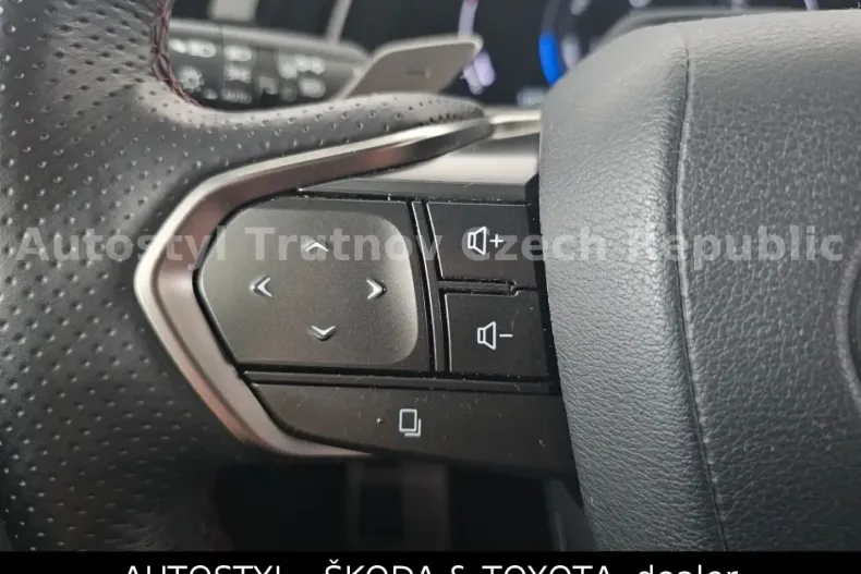 Lexus RX 500 din 2024 cu 33.354 km - oferta LEX143014 - foto 14