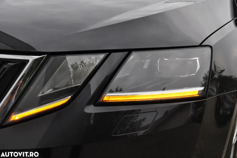 Skoda Octavia din 2019 cu 170.256 km - oferta SKO143826 - foto 11