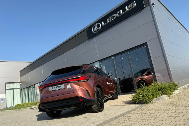 Lexus Seria RX din 2025 cu 10 km - oferta LEX144840 - foto 14