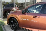 Lexus Seria RX din 2025 cu 10 km - oferta LEX144840 - foto 17