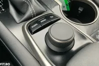 Lexus Seria RX din 2019 cu 117.815 km - oferta LEX144890 - foto 21