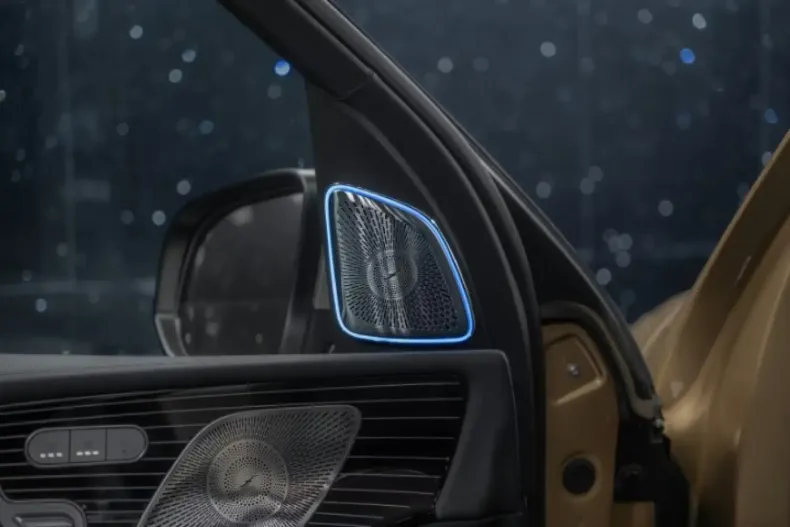 Mercedes-Benz GLS 600 din 2023 cu 2.000 km - oferta MER145577 - foto 15