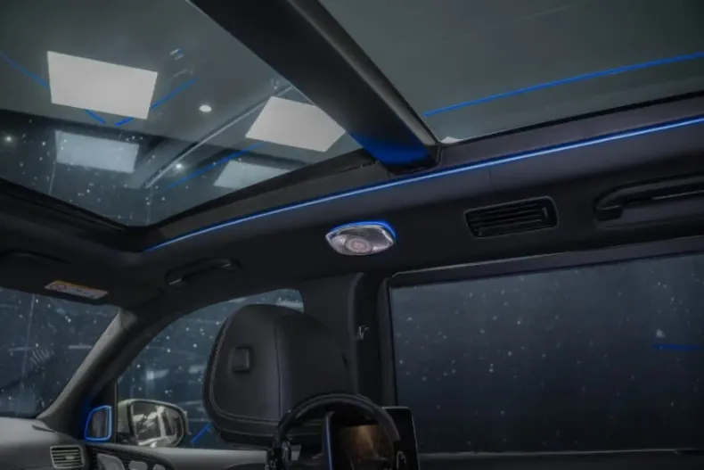 Mercedes-Benz GLS 600 din 2023 cu 2.000 km - oferta MER145577 - foto 29