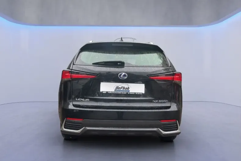 Lexus NX 300 din 2020 cu 61.591 km - oferta LEX145623 - foto 11