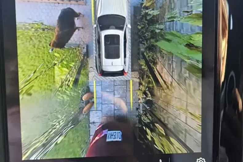 Volvo XC60 din 2023 cu 64.000 km - oferta VOL145939 - foto 24