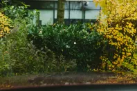 Mazda CX-5 din 2023 cu 48.383 km - oferta MAZ146114 - foto 29