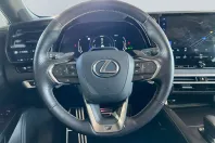 Lexus RX 500 din 2024 cu 18.500 km - oferta LEX146360 - foto 10