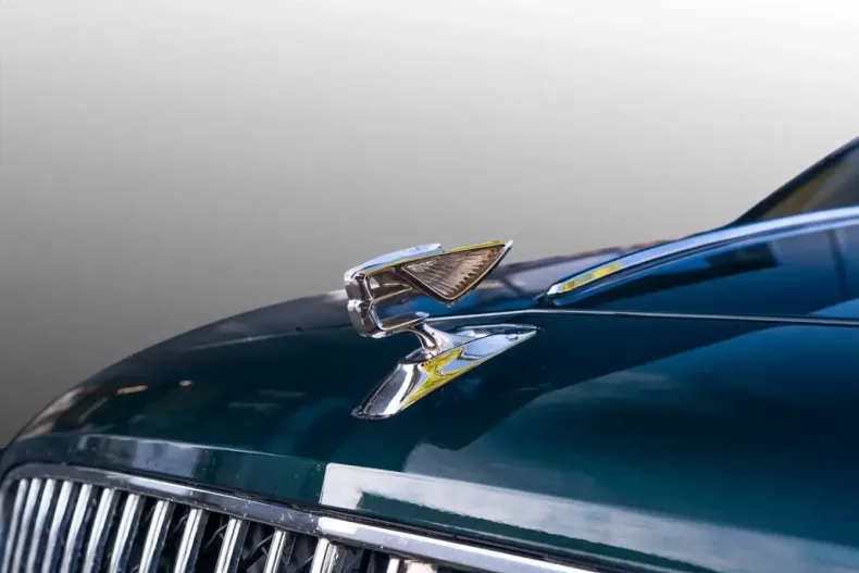 Bentley Flying Spur din 2021 cu 38.290 km - oferta BEN146666 - foto 7