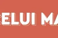 BMW X1 din 2020 cu 68.903 km - oferta BMW148146 - foto 3