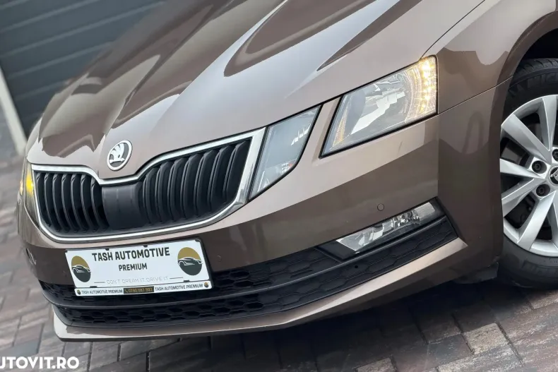 Skoda Octavia din 2019 cu 98.850 km - oferta SKO148188 - foto 11