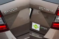 Skoda Octavia din 2019 cu 98.850 km - oferta SKO148188 - foto 13