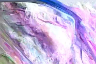 Skoda Octavia din 2022 cu 83.619 km - oferta SKO148275 - foto 3