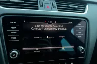 Skoda Octavia din 2019 cu 159.921 km - oferta SKO148510 - foto 16