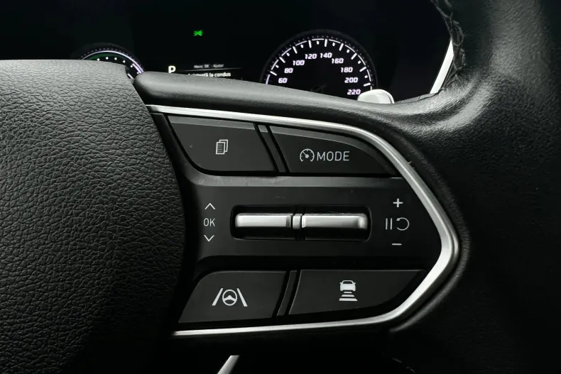 Hyundai SANTA FE din 2022 cu 173.494 km - oferta HYU148512 - foto 25