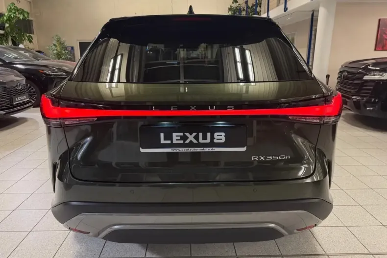 Lexus RX 350 din 2023 cu 50.991 km - oferta LEX149046 - foto 8