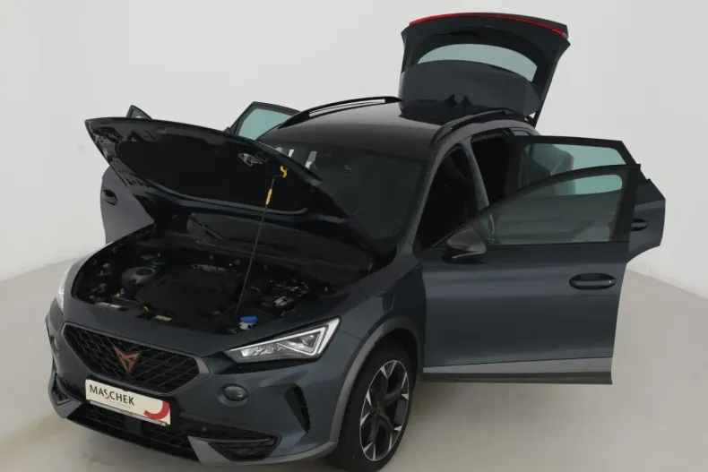 Cupra Formentor din 2023 cu 11.900 km - oferta CUP149183 - foto 12