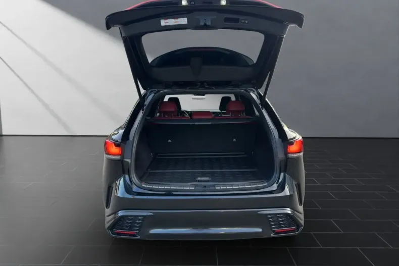 Lexus RX 500 din 2023 cu 30.000 km - oferta LEX149306 - foto 19