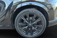 Lexus RX 500 din 2023 cu 30.000 km - oferta LEX149306 - foto 20