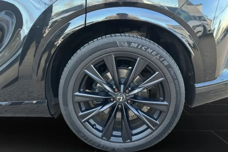 Lexus RX 500 din 2023 cu 30.000 km - oferta LEX149306 - foto 20