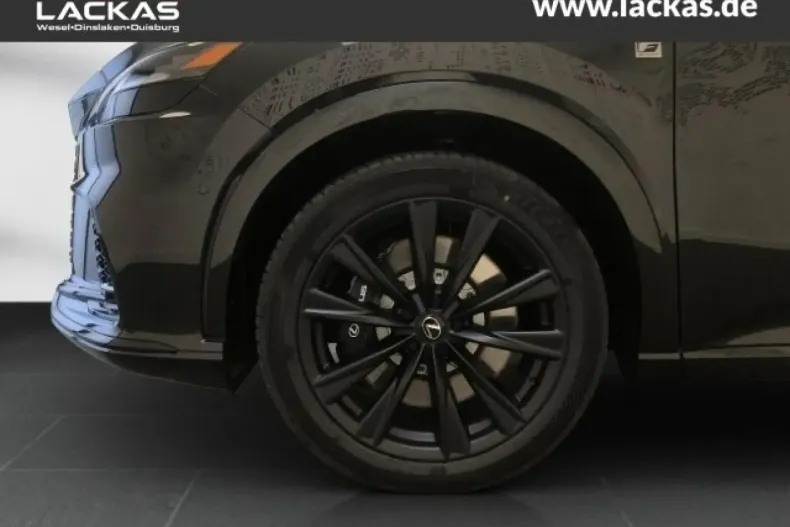 Lexus RX 500 din 2023 cu 17.543 km - oferta LEX149311 - foto 11