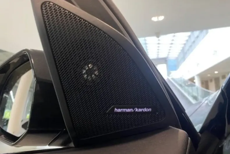 BMW X3 din 2024 cu 24.728 km - oferta BMW149539 - foto 15