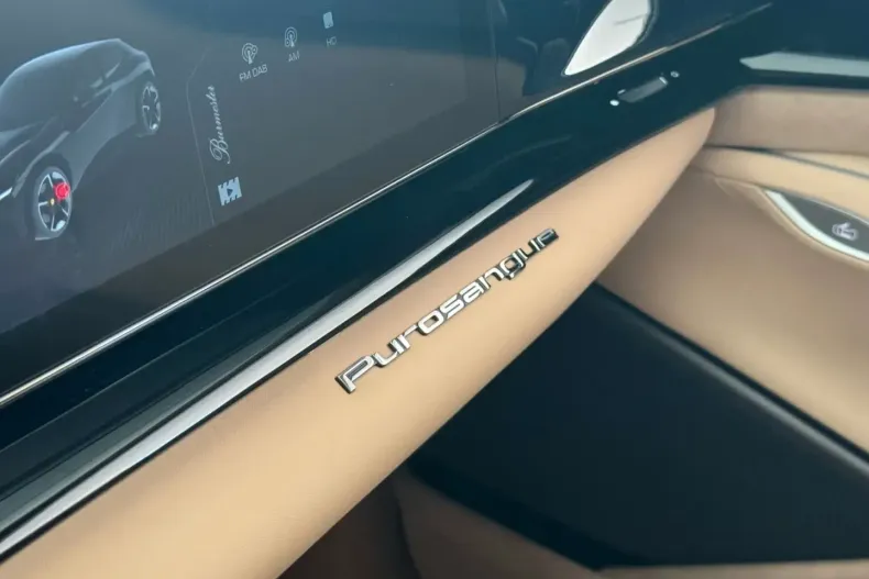 Ferrari Purosangue din 2025 cu 500 km - oferta FER149807 - foto 13