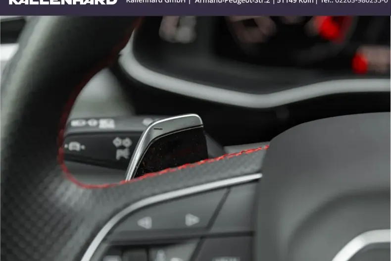 Audi RSQ8 din 2023 cu 65.359 km - oferta AUD149890 - foto 41