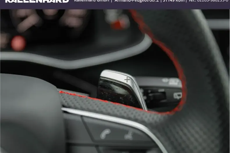 Audi RSQ8 din 2023 cu 65.359 km - oferta AUD149890 - foto 42