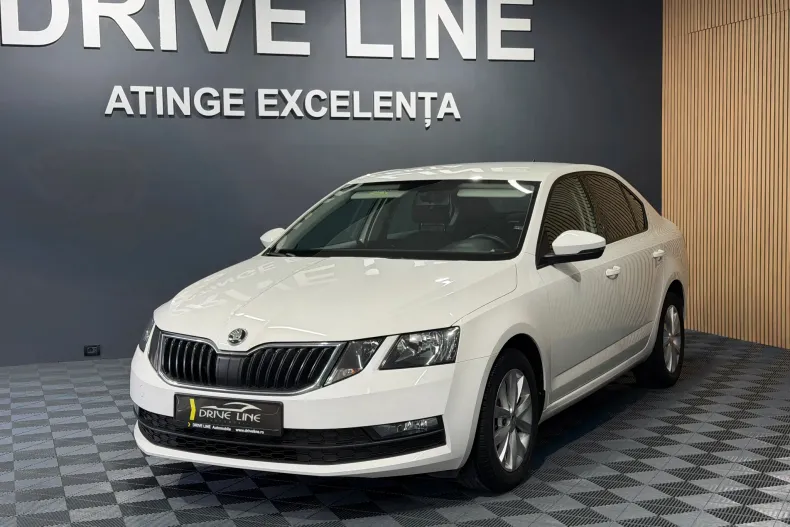 Skoda Octavia din 2019 cu 161.997 km - oferta SKO150639 - foto 1