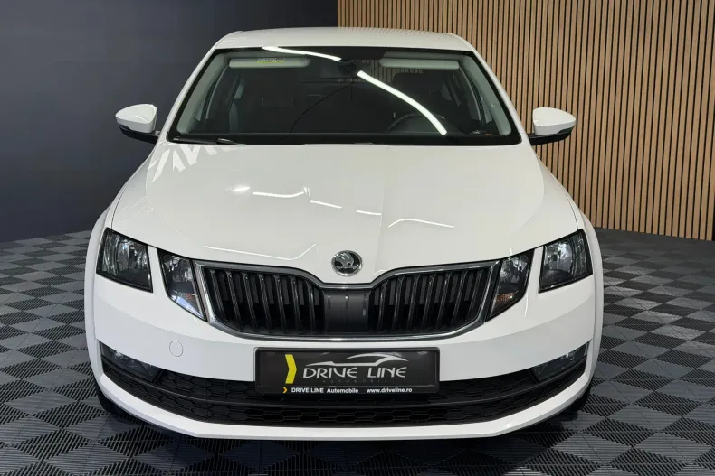 Skoda Octavia din 2019 cu 161.997 km - oferta SKO150639 - foto 2
