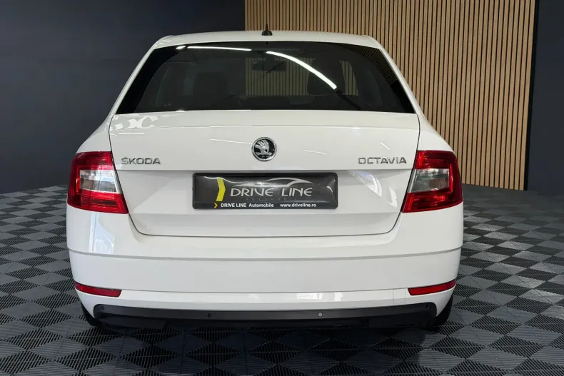 Skoda Octavia din 2019 cu 161.997 km - oferta SKO150639 - foto 5