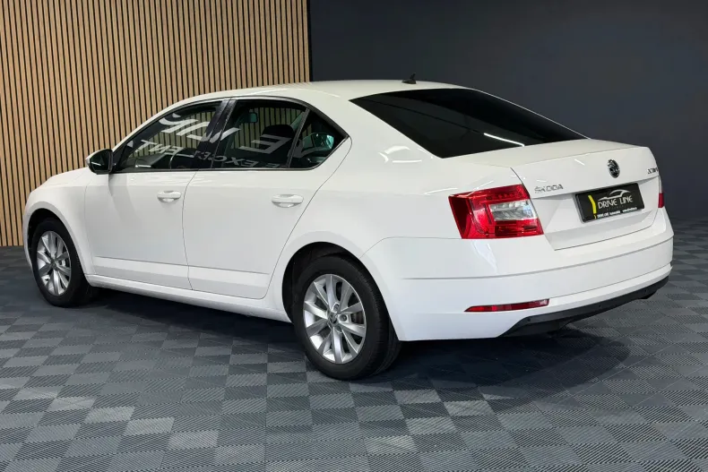 Skoda Octavia din 2019 cu 161.997 km - oferta SKO150639 - foto 6