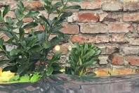 BMW X6 din 2020 cu 102.000 km - oferta BMW150707 - foto 36