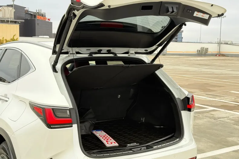 Lexus Seria NX din 2023 cu 145.172 km - oferta LEX150874 - foto 32