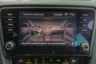 Skoda Octavia din 2019 cu 115.413 km - oferta SKO151099 - foto 21