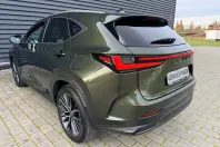 Lexus NX 350h din 2023 cu 17.500 km - oferta LEX152383 - foto 7