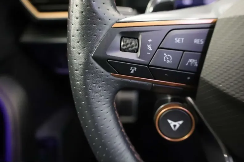 Cupra Formentor din 2022 cu 52.864 km - oferta CUP152861 - foto 9