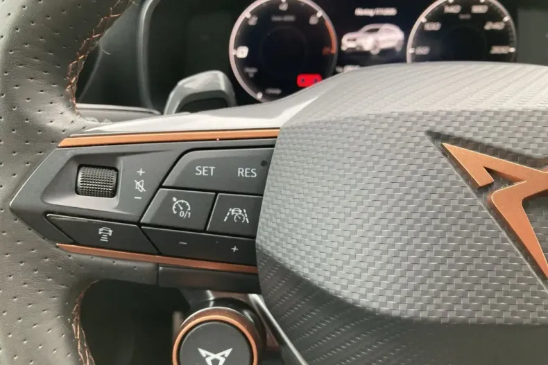 Cupra Formentor din 2021 cu 54.150 km - oferta CUP153076 - foto 21