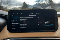 Hyundai SANTA FE din 2021 cu 153.428 km - oferta HYU153304 - foto 26