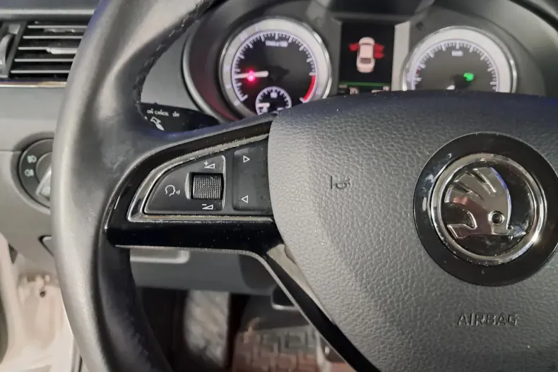 Skoda Octavia din 2019 cu 94.602 km - oferta SKO153392 - foto 13